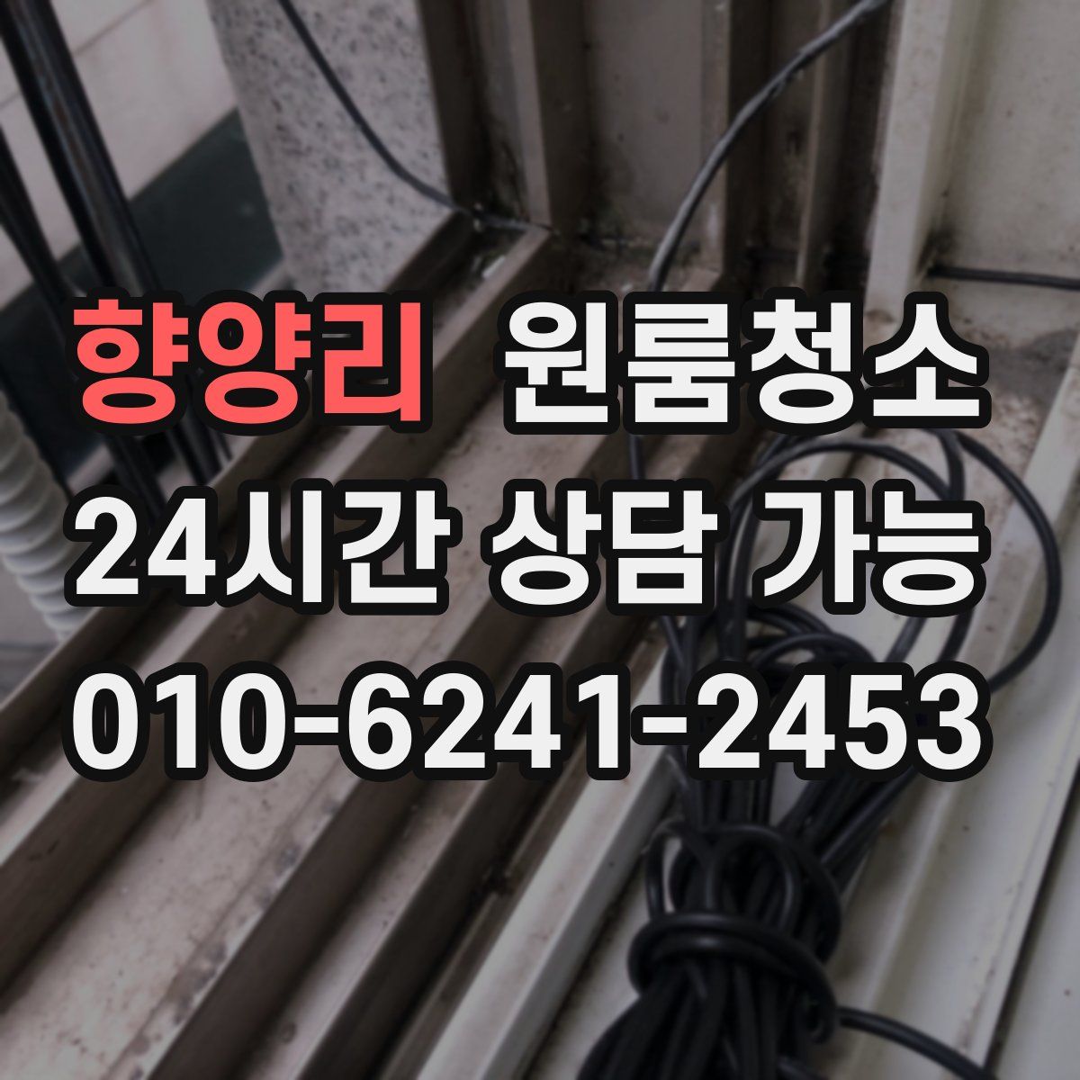 향양리 원룸청소
