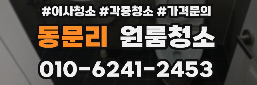 동문리 이사청소