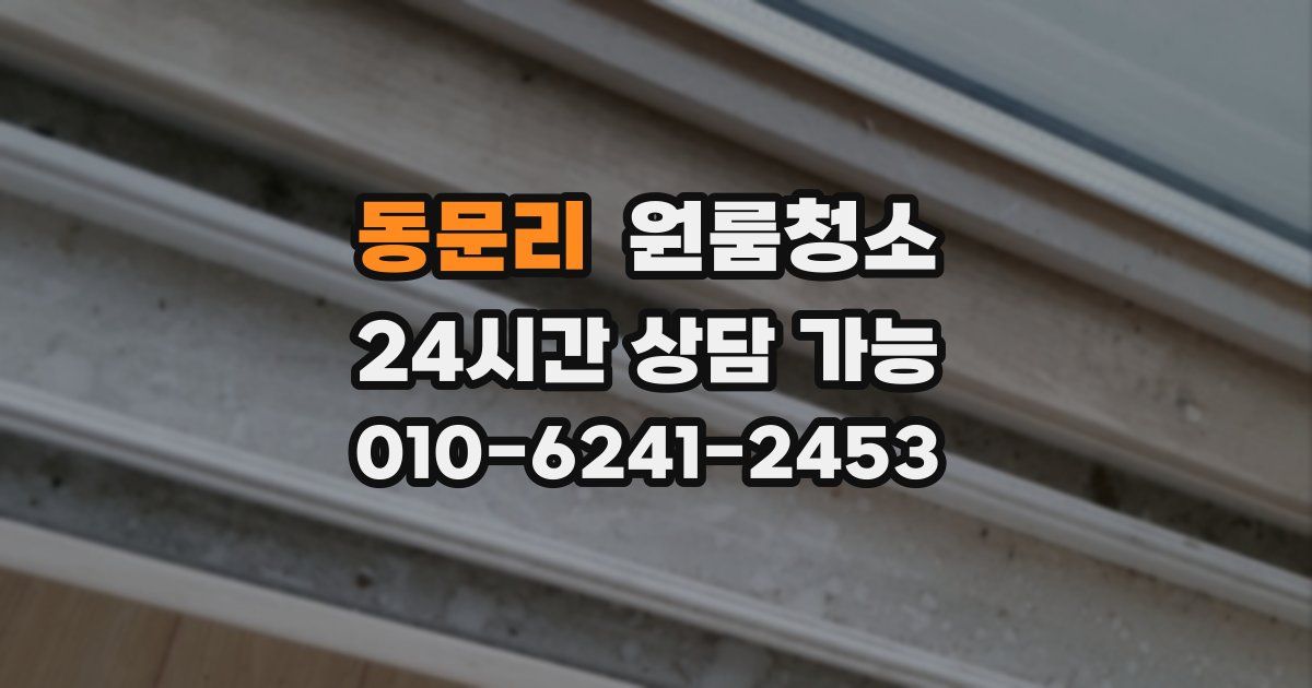 동문리 입주청소