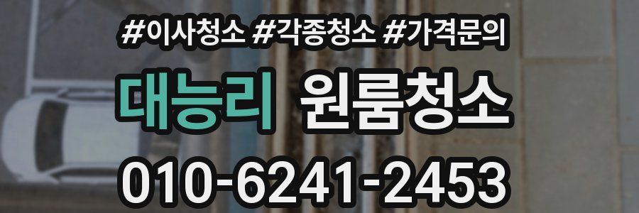 대능리 이사청소