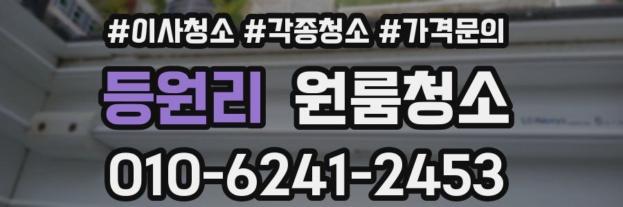 등원리 이사청소