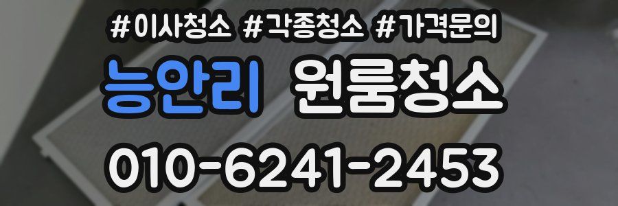 능안리 이사청소