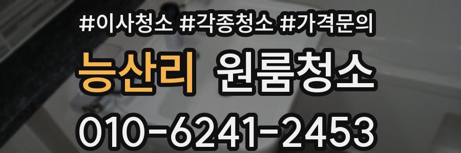 능산리 이사청소