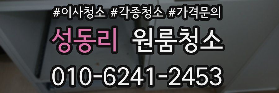 성동리 이사청소