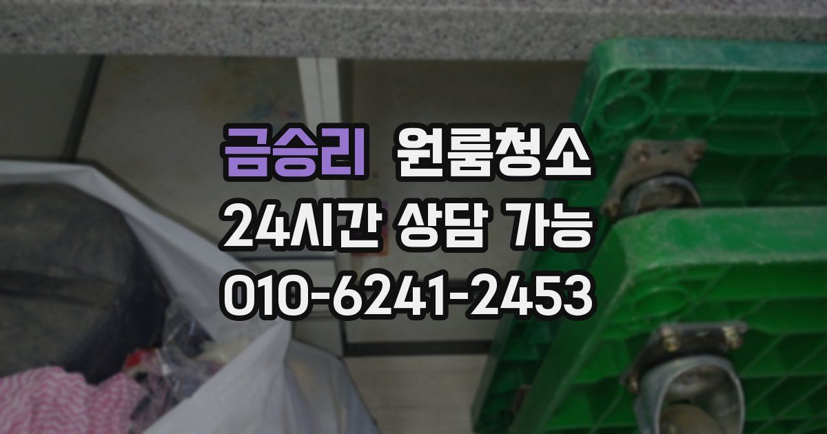 금승리 입주청소