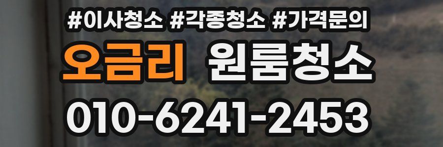 오금리 이사청소