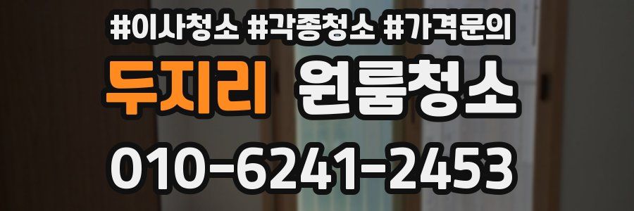 두지리 이사청소