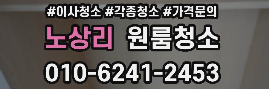 노상리 이사청소