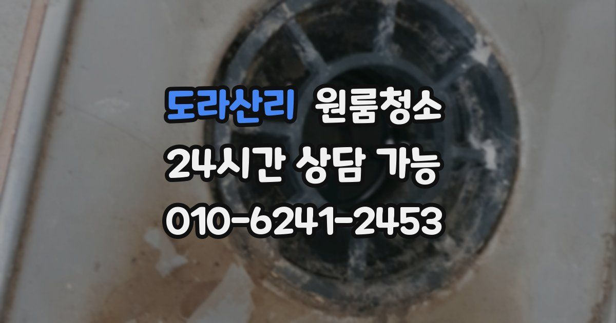 도라산리 입주청소