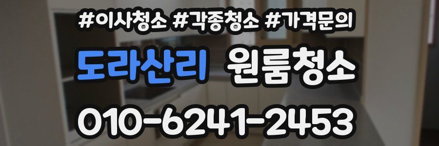 도라산리 이사청소