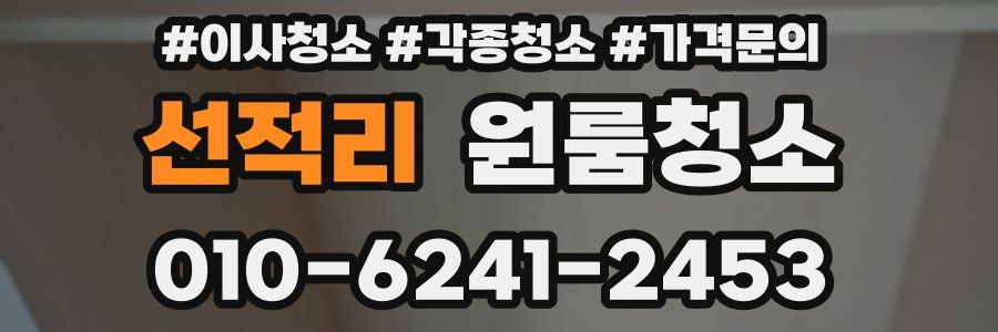 선적리 이사청소