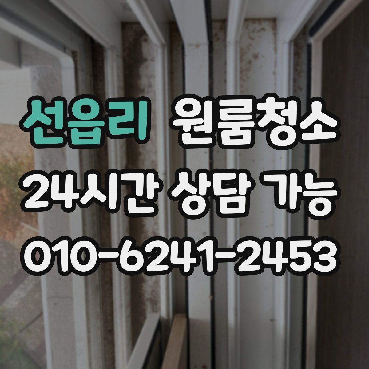 선읍리 원룸청소