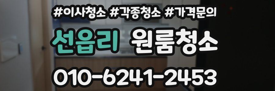 선읍리 이사청소