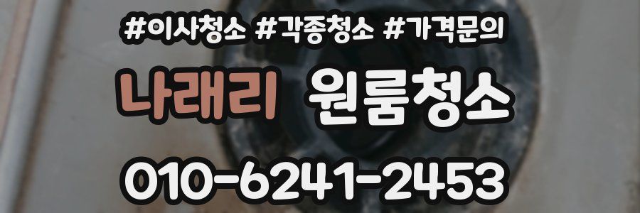 나래리 이사청소