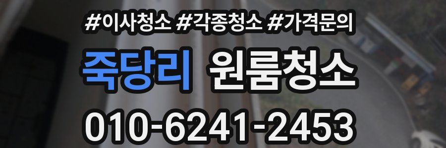 죽당리 이사청소