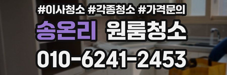 송온리 이사청소