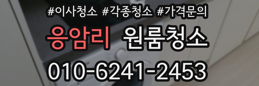 응암리 이사청소