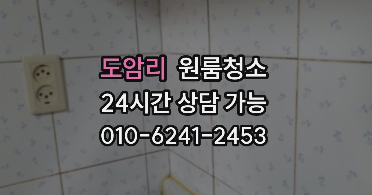 도암리 입주청소