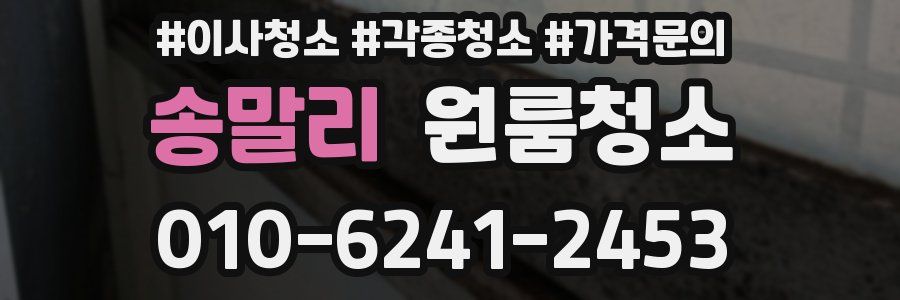 송말리 이사청소