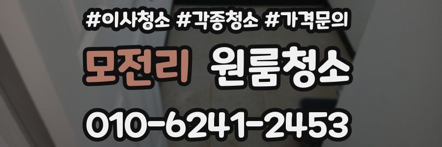 모전리 이사청소