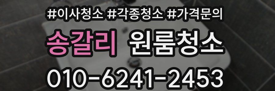 송갈리 이사청소