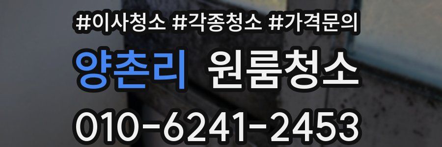 양촌리 이사청소