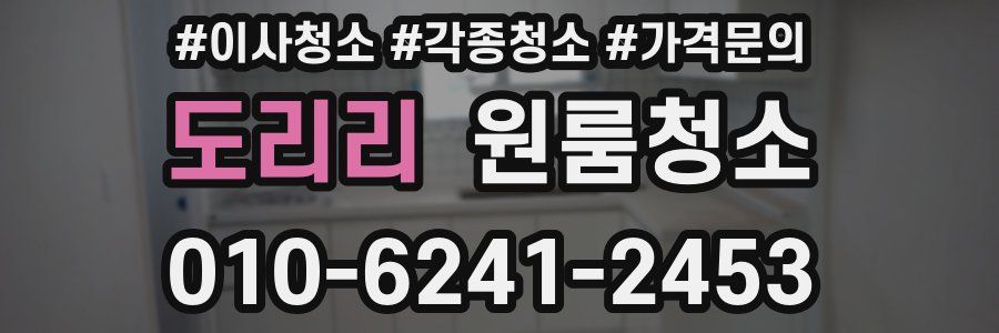 도리리 이사청소