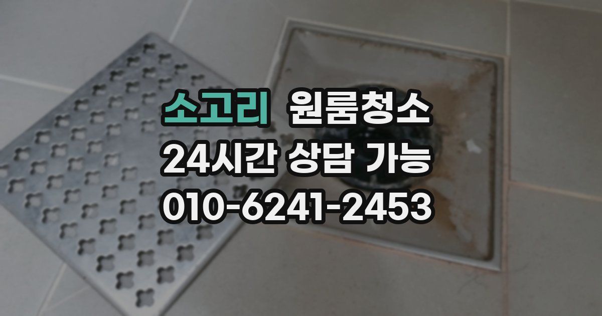 소고리 입주청소