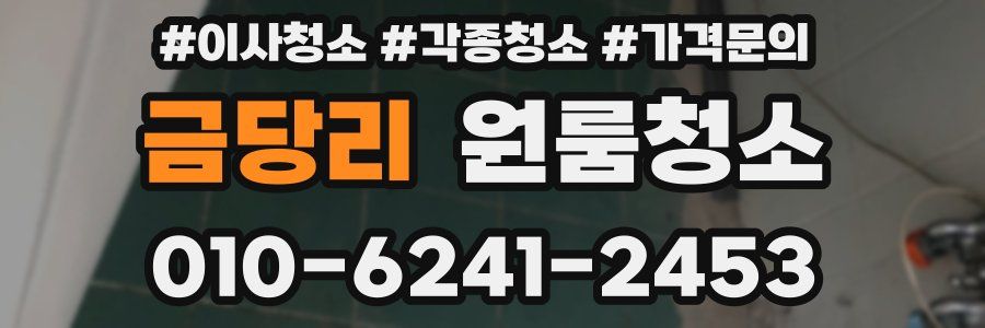 금당리 이사청소