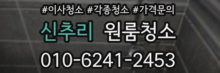 신추리 이사청소