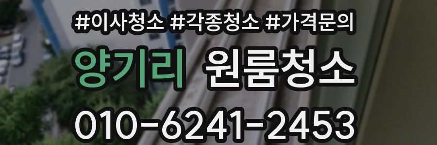 양기리 이사청소