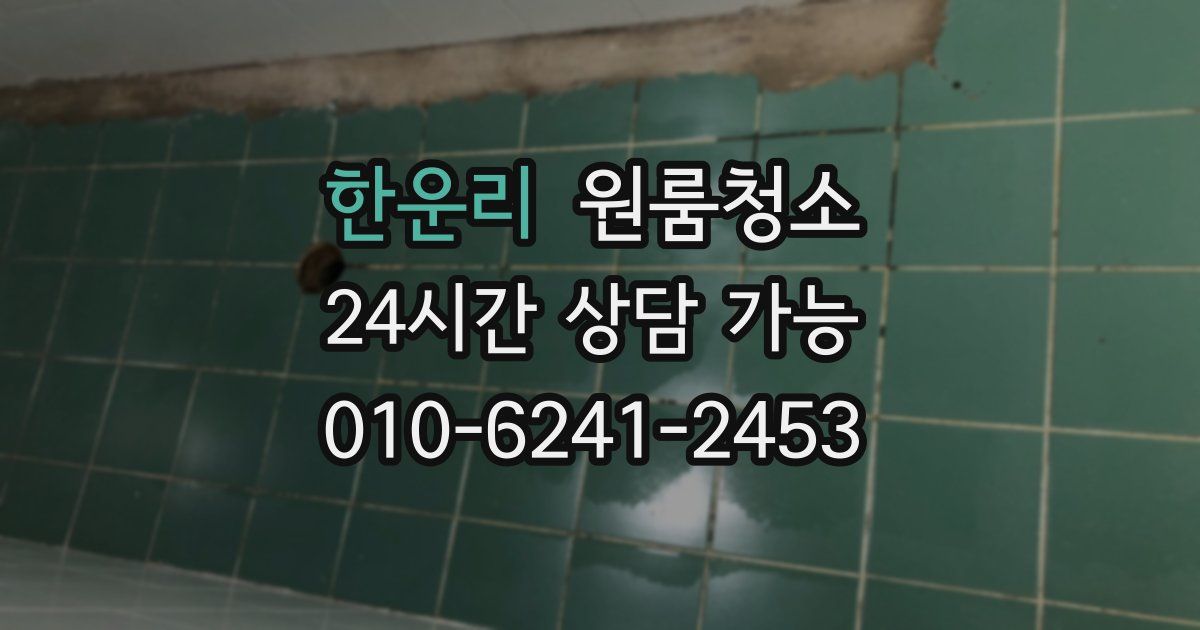 한운리 입주청소