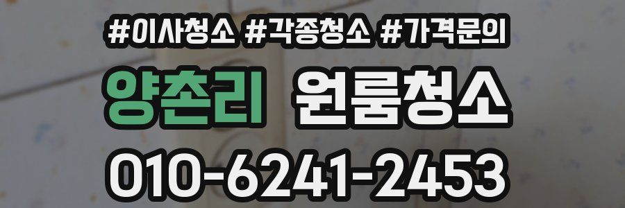 양촌리 이사청소