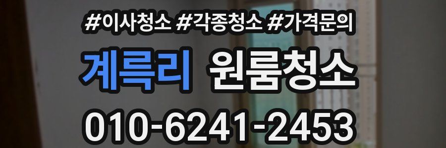 계륵리 이사청소