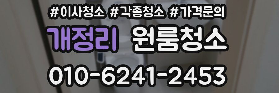 개정리 이사청소