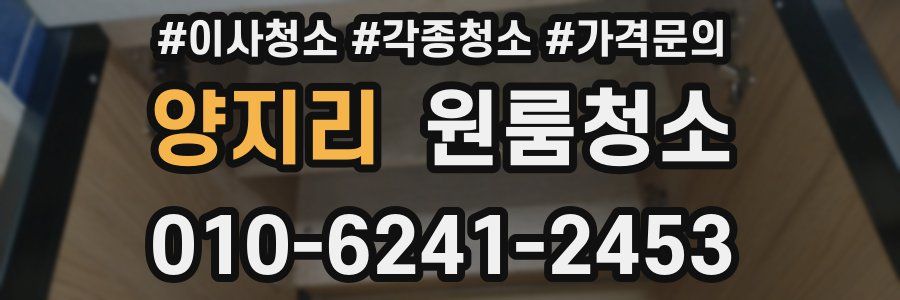 양지리 이사청소