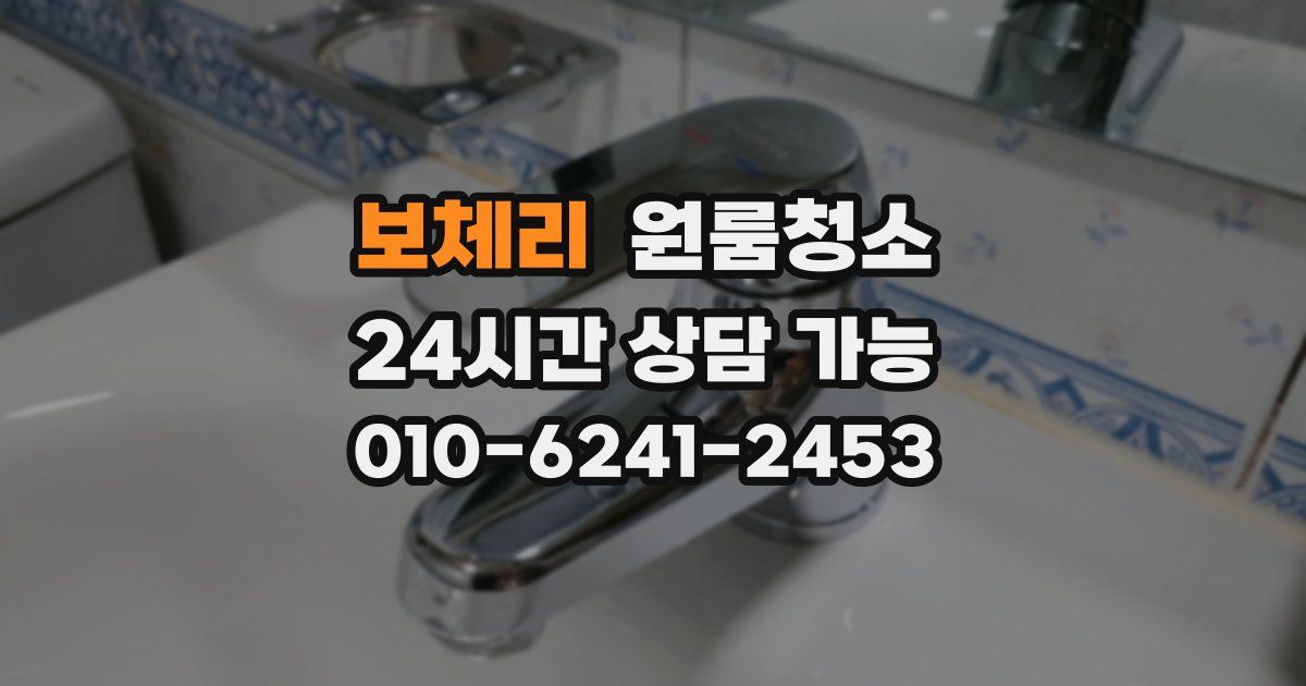 보체리 입주청소