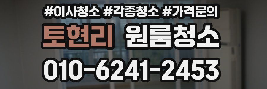 토현리 이사청소