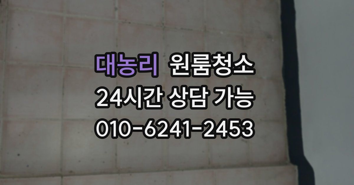 대농리 입주청소