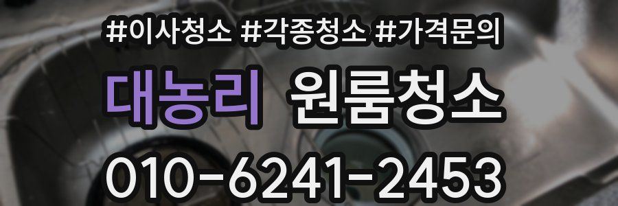 대농리 이사청소