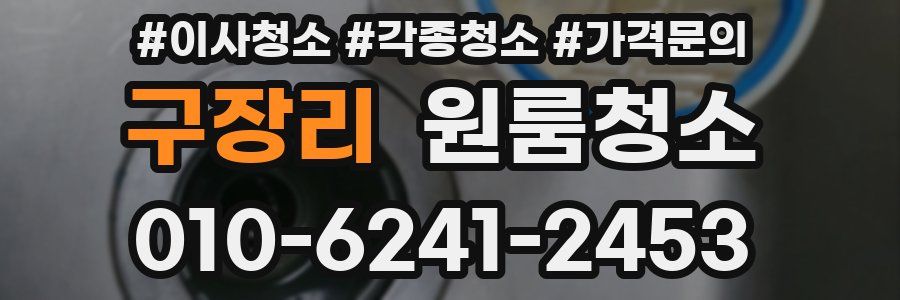 구장리 이사청소