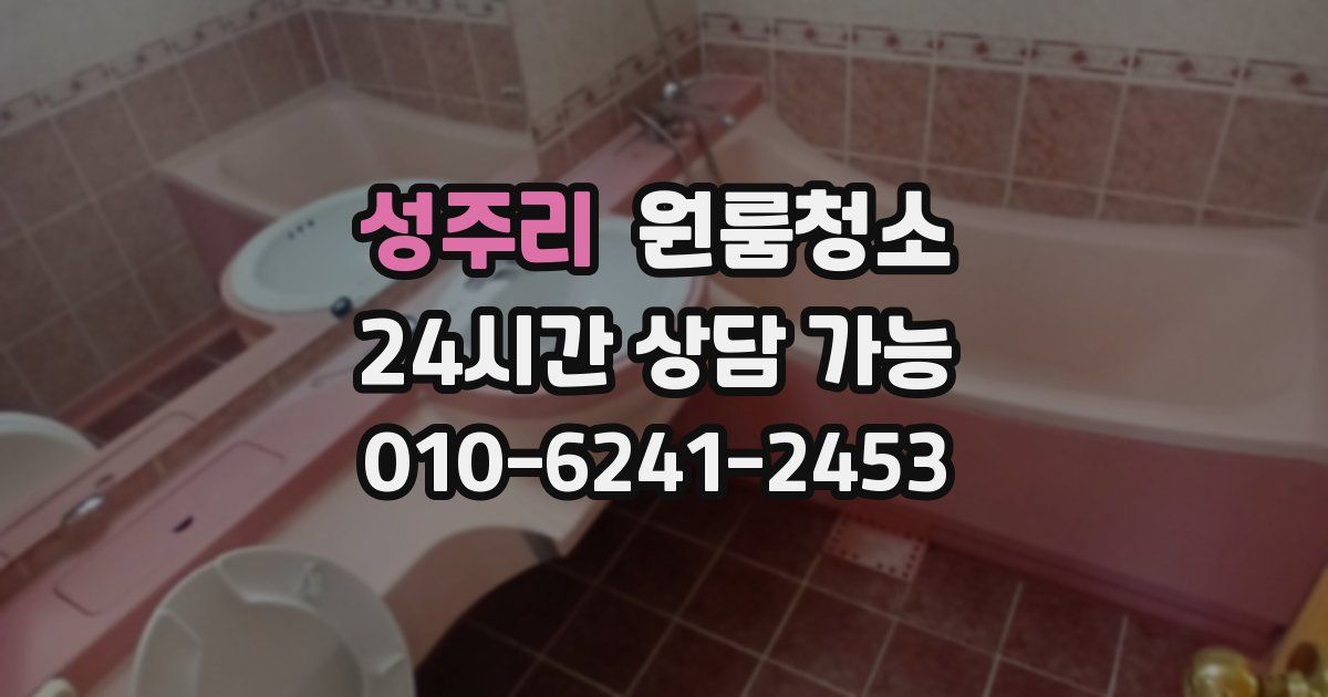 성주리 입주청소