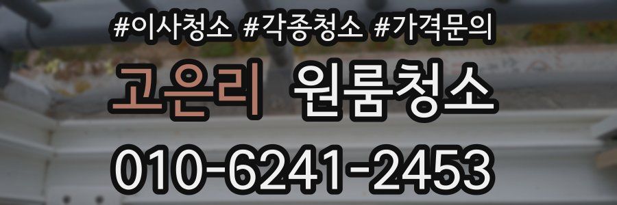 고은리 이사청소