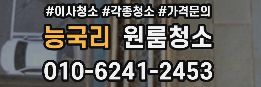 능국리 이사청소