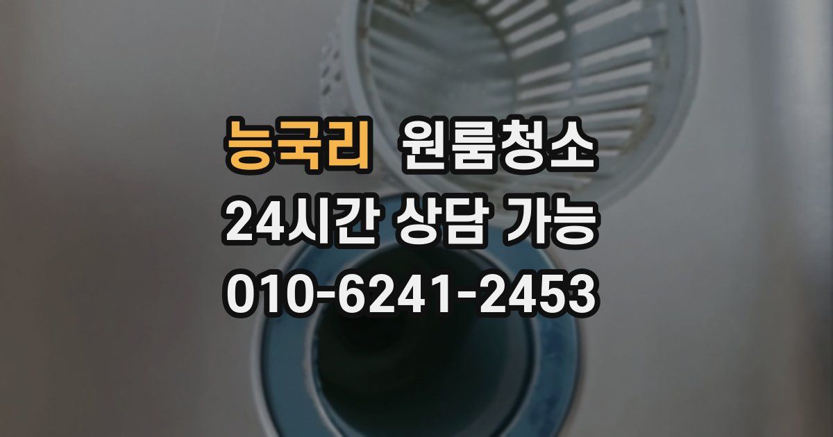 능국리 입주청소