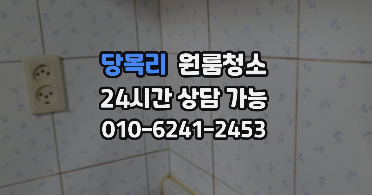 당목리 입주청소