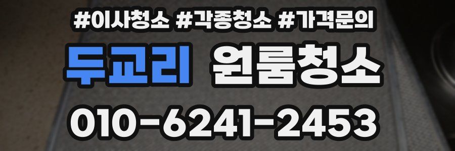 두교리 이사청소