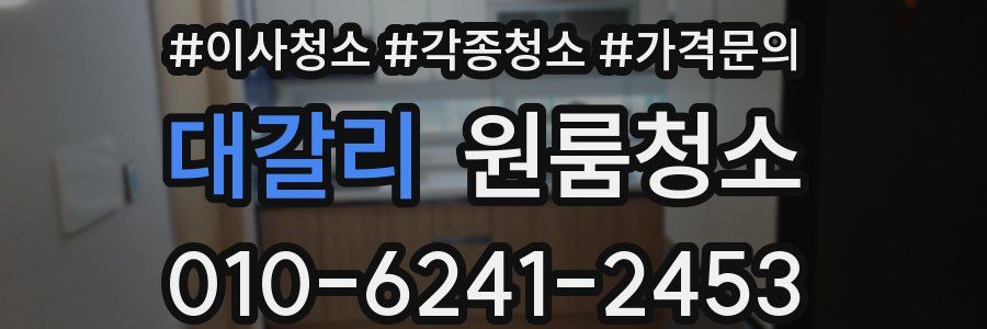 대갈리 이사청소