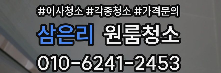 삼은리 이사청소