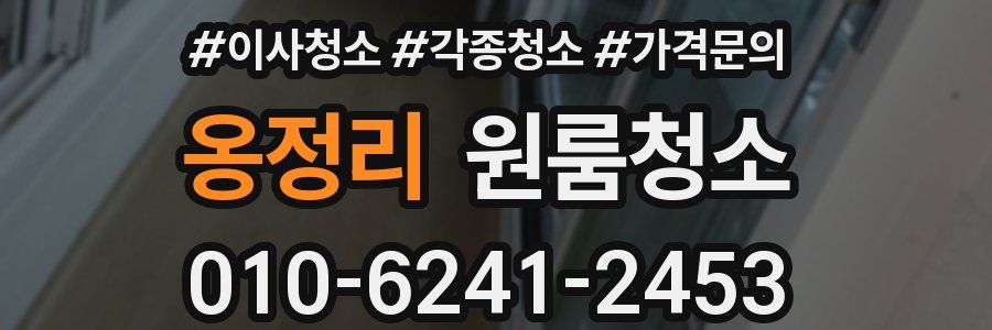 옹정리 이사청소